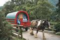 Clissman Horse Horse Caravans image 1
