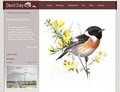 Coded Web Design Wexford image 3