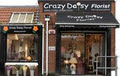 Crazy Daisy Florist logo