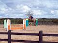 Creagh Equestrian Centre image 6