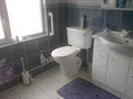 Disabled Bathrooms & Showers image 2