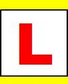 Dun Laoire School of Motoring logo