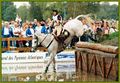 Fernhill Sport Horses image 2