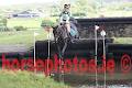 Fernhill Sport Horses image 5