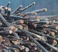 Firewood Man image 2