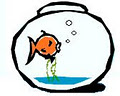 Fishbowl Web Design image 2