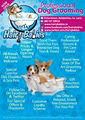 Hairy Babies Professional Dog Grooming Parlour image 1