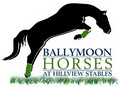 Hillview Stables/ Ballymoon Horses logo