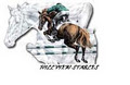 Hillview stables - James Buckley logo