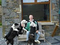 Joyce Country Sheepdogs image 1