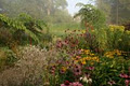 June Blakes Garden and Nursery image 2