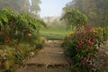 June Blakes Garden and Nursery image 3