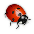 Ladybird Media logo