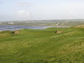 Lahinch Golf Club image 6