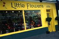 Little Flowers - Stillorgan Florist logo