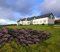 Moorland-Guesthouse image 1