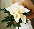 Precious Pansies Florist image 1