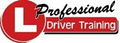 Professional Driver Training image 5