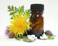 Registered Dublin Homeopath - Eileen Scullion image 3