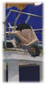 Shamrock Diving Club image 1