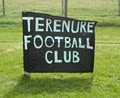 Terenure Football Club image 5
