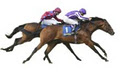 Tipperary Racecourse image 2