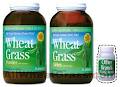 Wheatgrass,Organic Greens,Wheatgrass Suppliers,Wheat Grass image 1