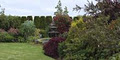 Camellia Landscapes - Landscaping Services Cork image 1