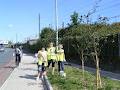 Greystones Tidy Towns image 3