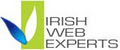 Irish Web Experts - Website Design & Marketing Company Dublin image 2