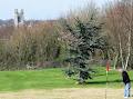 Longmeadows pitch and putt course. image 3
