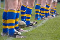 Monkstown Rugby Club image 2