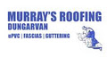 Murray's Roofing - Roofing Services ,Roofing Repairs ,Roof Service in Waterford image 2