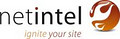 NetIntel logo