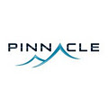 Pinnacle Search Engine Marketing image 3