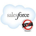 Salesforce.com image 2
