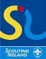 42nd Dublin Scout Group - Dolphin's Barn and Rialto logo
