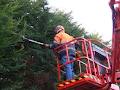 Anderson Tree Services image 5