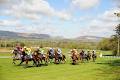 County Sligo Races image 3
