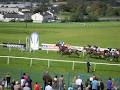 County Sligo Races image 5