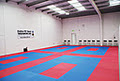 Dublin ITF Sport Taekwon-Do image 6