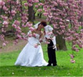 Fine Art Videos Wedding Videography image 2