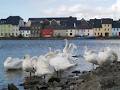 Galway image 2
