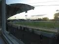 Kilkenny Greyhound Stadium image 3