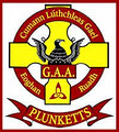 St. Oliver Plunkett Eoghan Ruadh G.A.A. Club (Phoenix Park, Hurling Grounds) logo