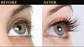 Eyelash Extension In Shannon image 1