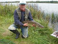 Murrays Bed and Breakfast & Angling Services image 3