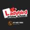LadybirdDrivingSchool photo
