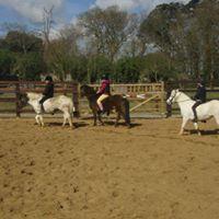 Kilcrea Equestrian Centre image 3