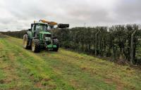 Cork Hedge Cutting image 1